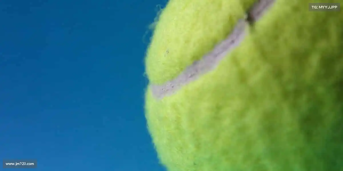 我们的品牌价值